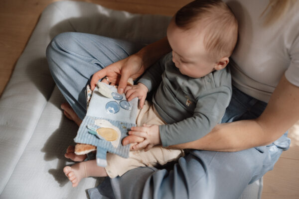 Stroller Booklet - Forest Friends